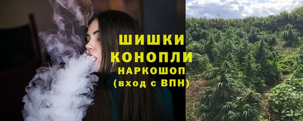 соль ск Инта