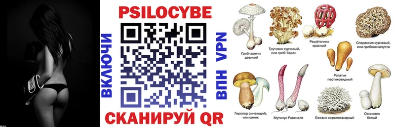Купить закладки  Жуков  Псилоцибиновые грибы Magic Shrooms 