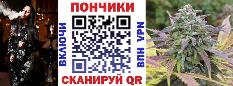 Канабис гибрид  Купить закладки  Жуков 